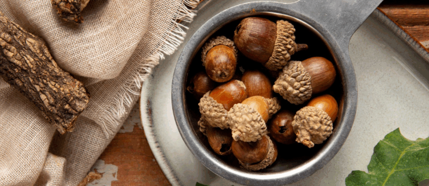 Cose da fare in autunno a Cesenatico