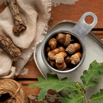 Cose da fare in autunno a Cesenatico