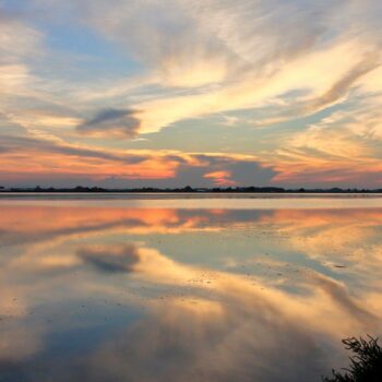 Visitare le Saline di Cervia